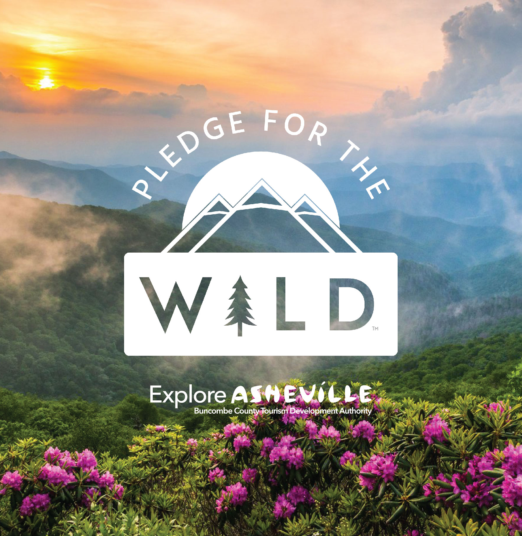 Pledge For The Wild